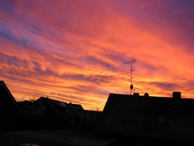 dawn 4